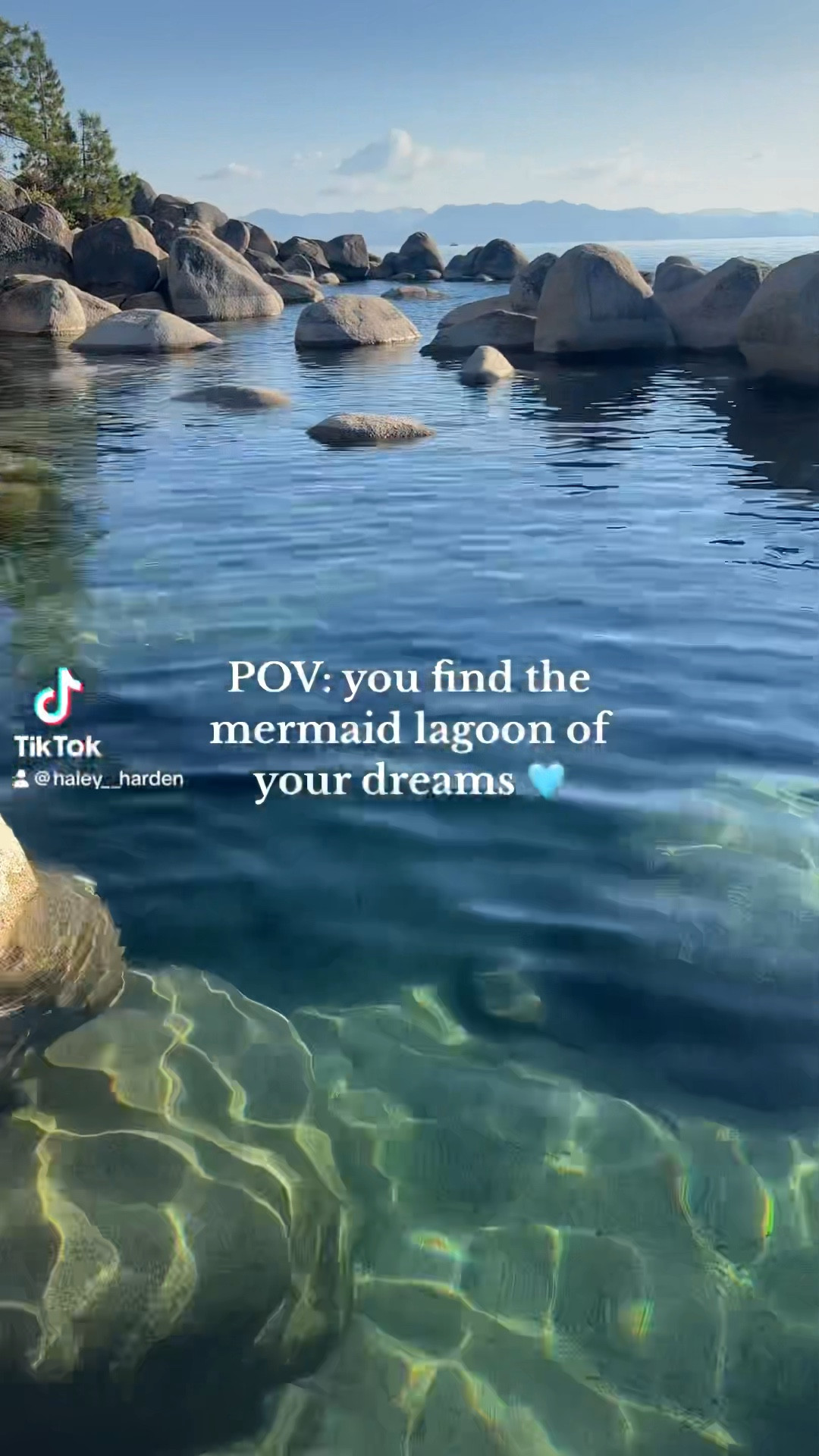 Softest seamless bikini in the cutest bright blue print 🩵🌊

#LTKswim #LTKSeasonal #LTKunder100