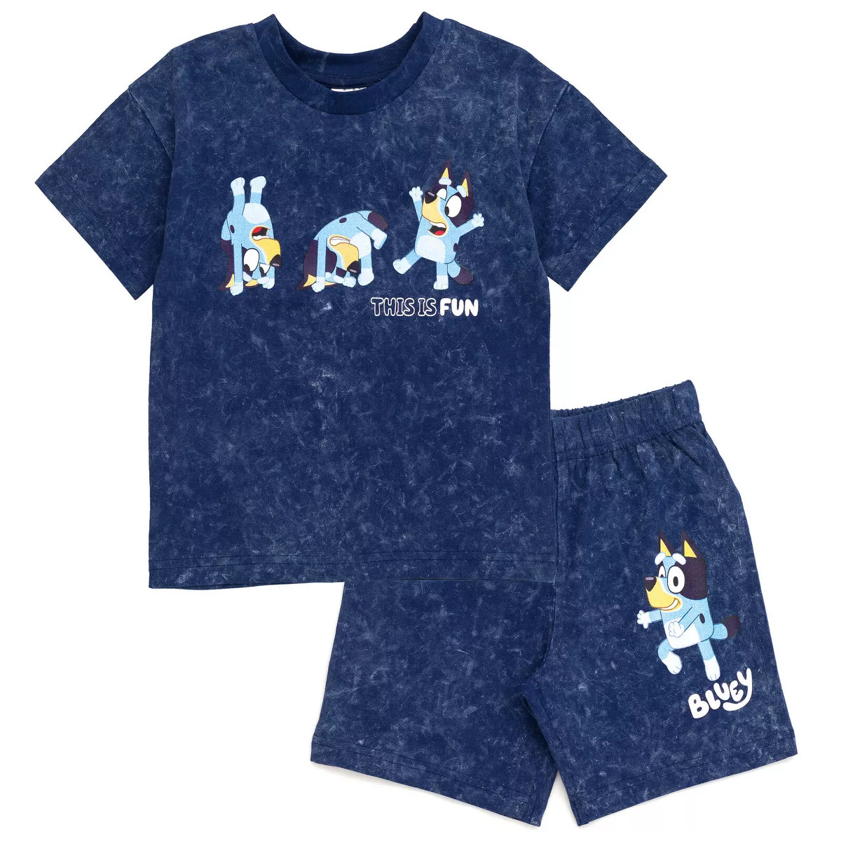 Bluey Boys Bluey Bingo Vintage Drop Shoulder T-Shirt and Shorts Outfit Set Toddler to Little Kid | Target