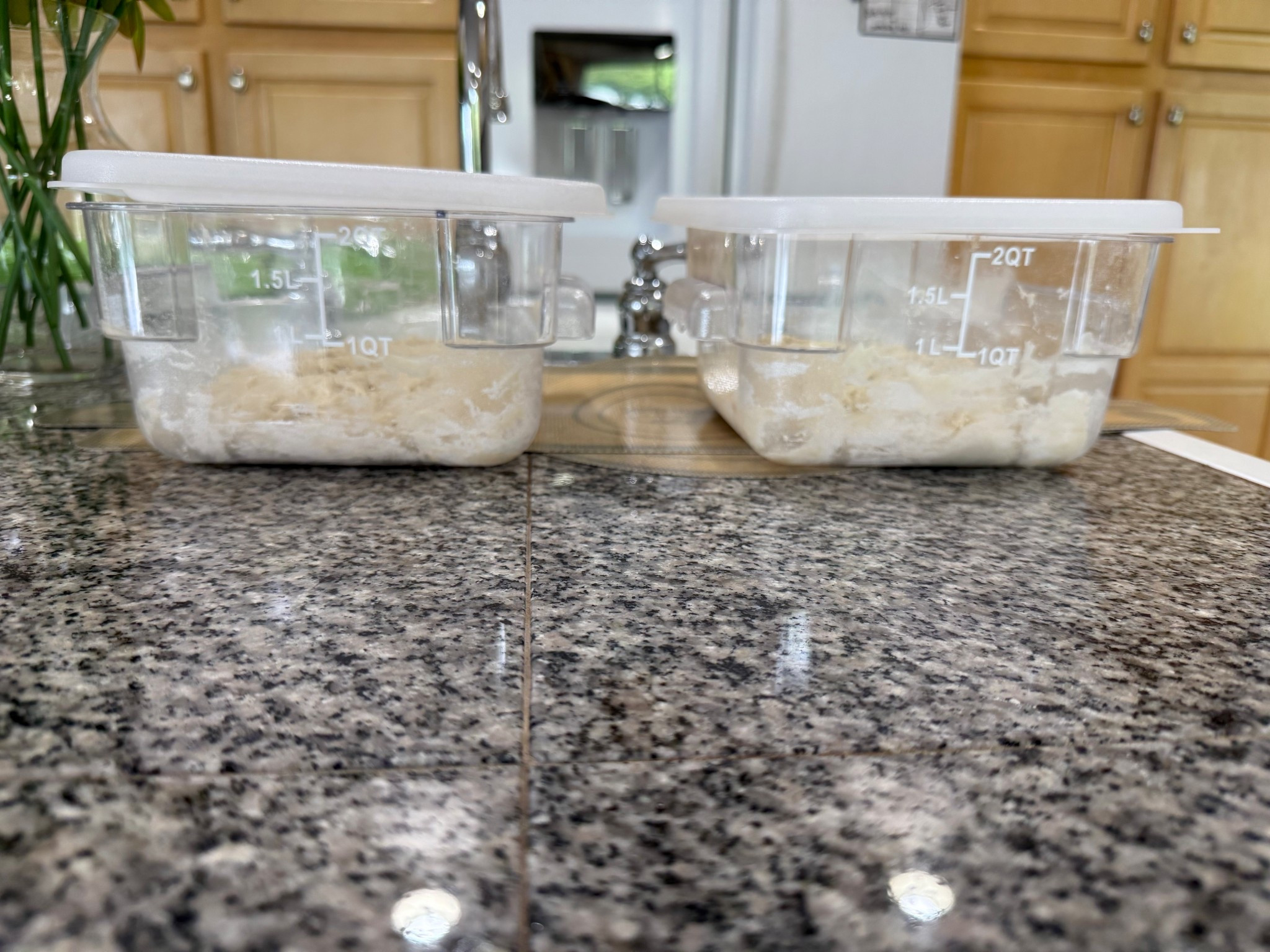 Perfect containers for making sourdough bread at home. On Amazon as well as the bread mixing whisk and my Dutch oven/silicone Dutch oven covers 

#LTKFindsUnder50 #LTKFamily #LTKHome