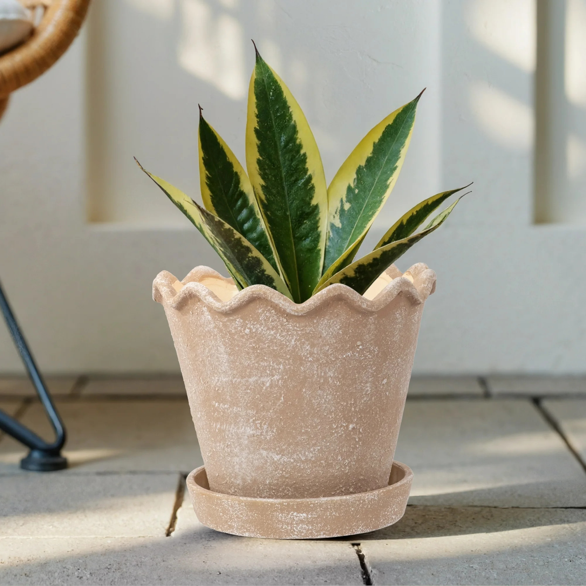 My Texas House 8 inch Ceramic Wave Planter, Brown | Walmart (US)