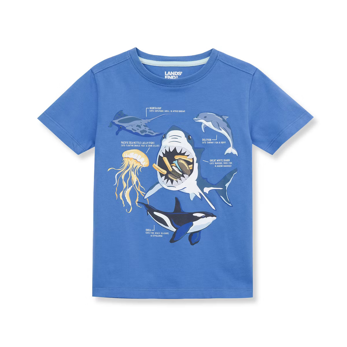 Lands' End Kids Graphic T Shirt | Target