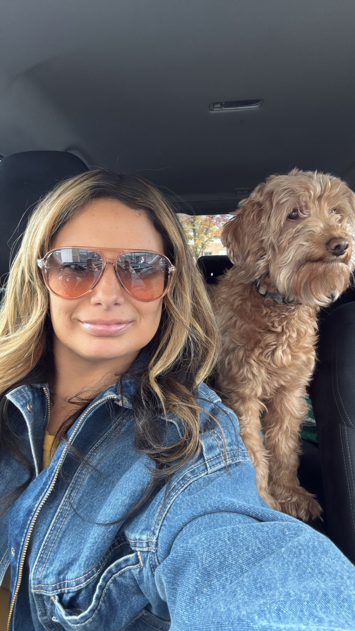 My favorite aviator sunglasses!

#LTKFindsUnder50 #LTKActive #LTKGiftGuide