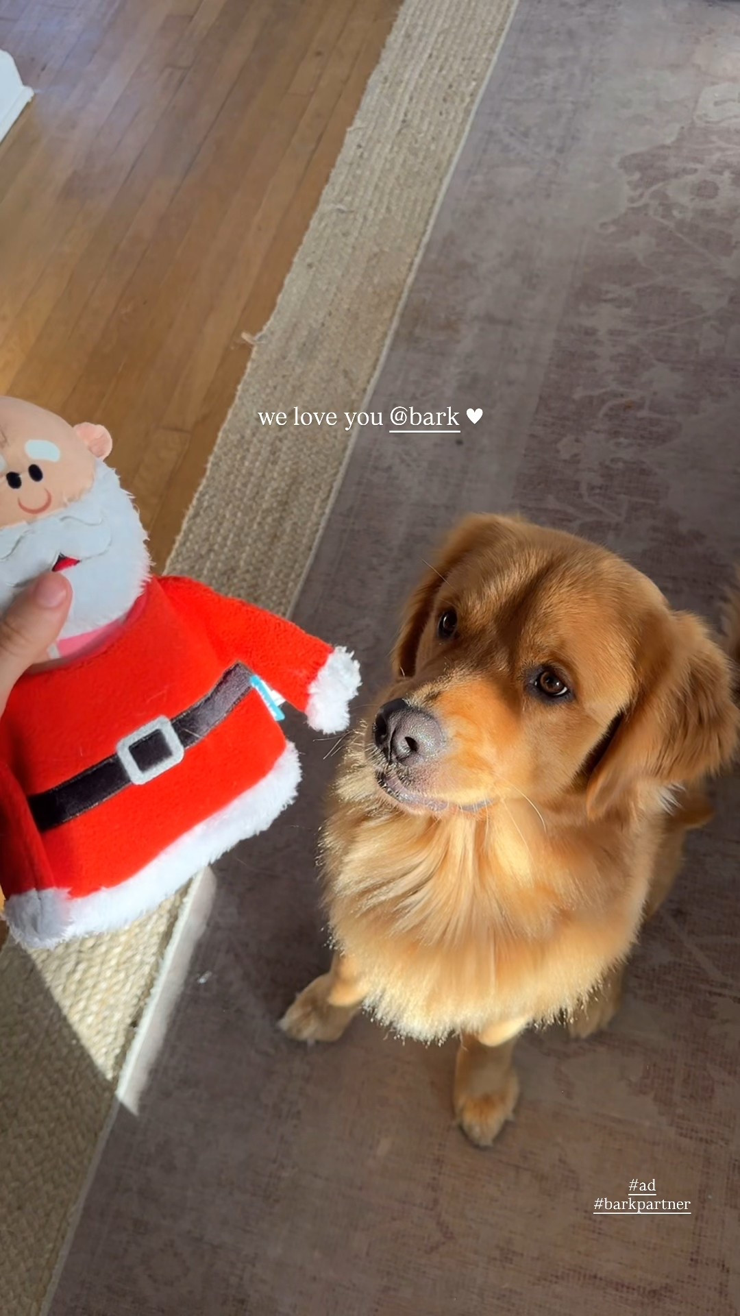 Subscribe now for a FREE Double Deluxe upgrade for 2 extra Rudolph toys and 2 extra bags of treats in your first box #barkpartner #ad