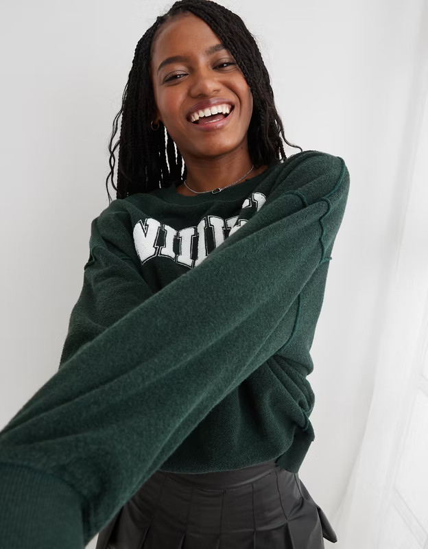Aerie The Chill Cozy Crew Sweatshirt | Aerie