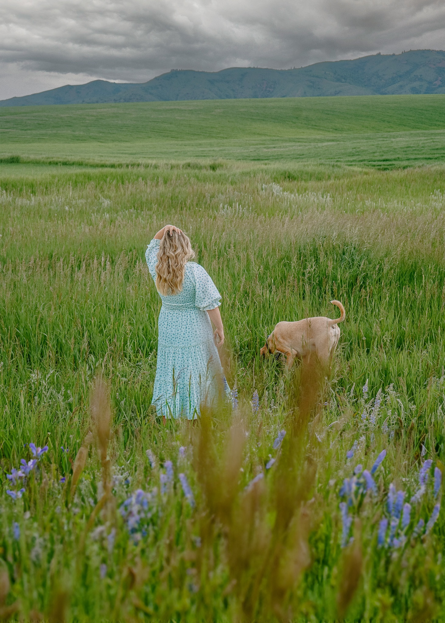 Absolutely obsessed with this dress and wear it ALL the time! And if you’re looking for your flower field moment, this dress is it 👏🏻

#LTKSeasonal #LTKtravel