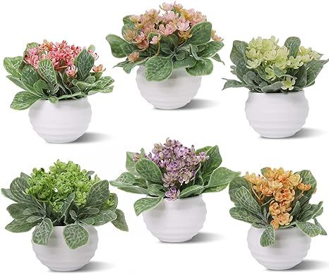 Zuvas Fake Plants 6 Packs Small Artificial Plastic Plants Set Home Decor Mini Potted Faux Flowers... | Amazon (US)