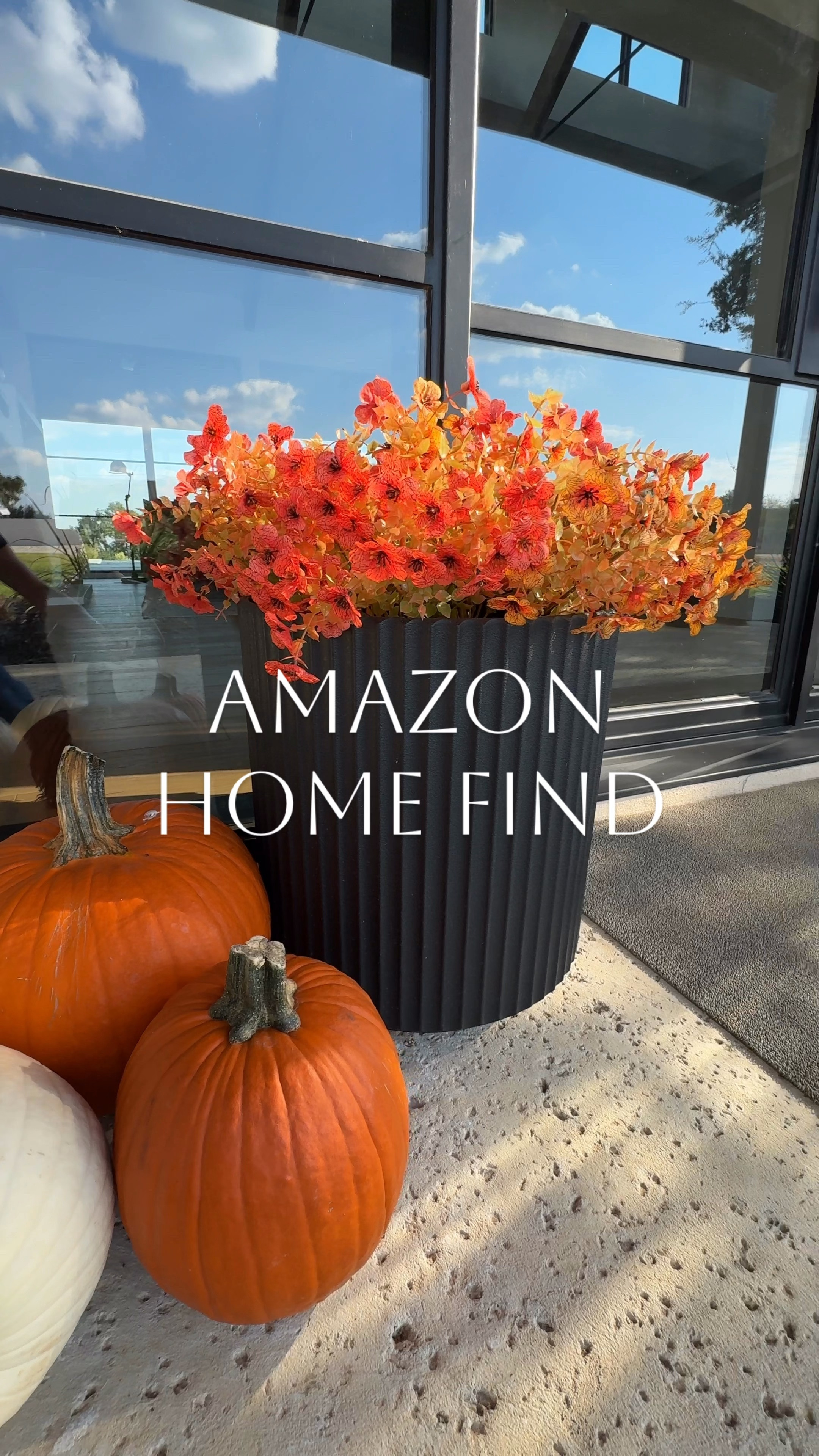 Fall flowers!

#LTKHome #LTKSeasonal
