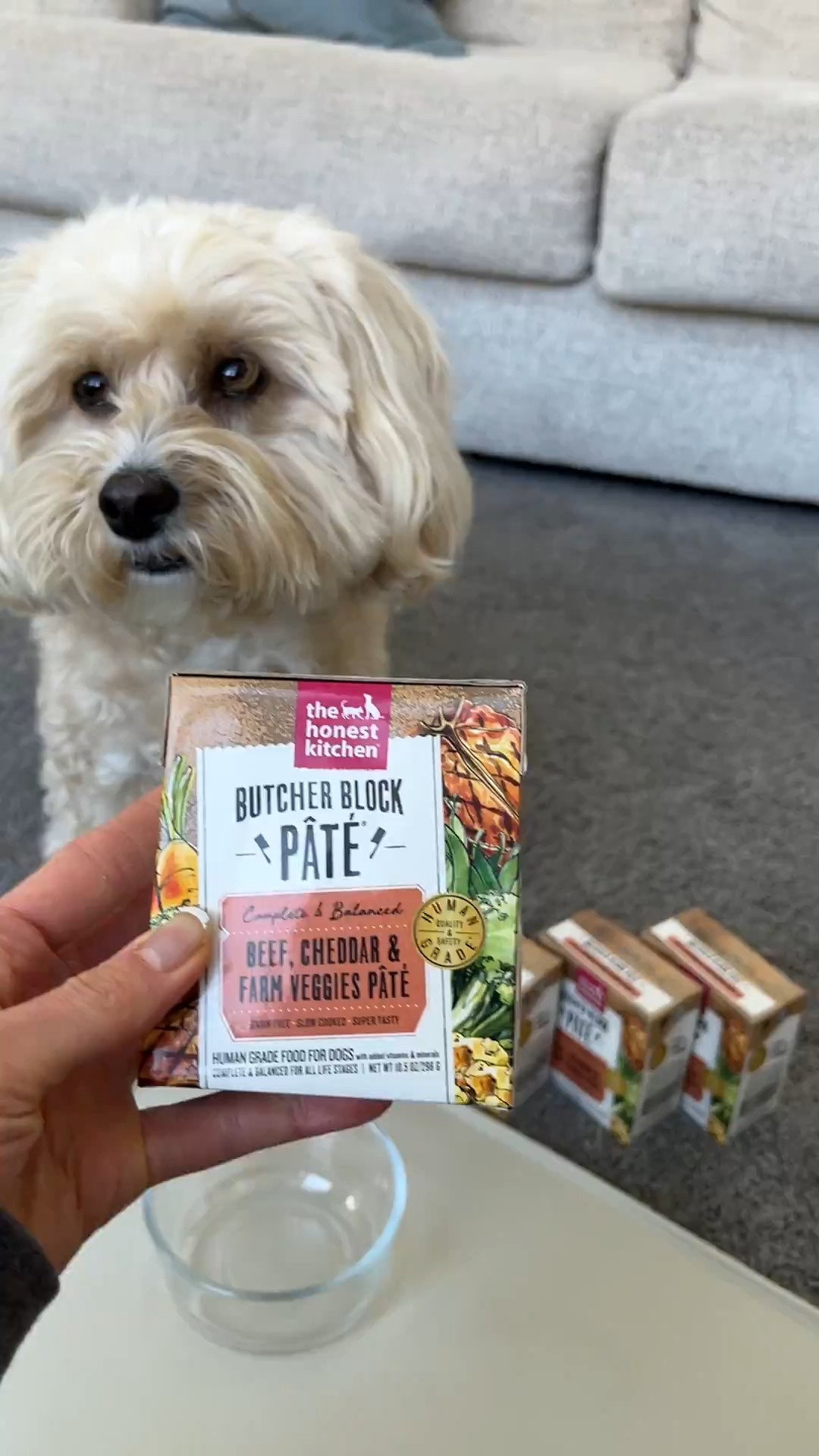 Dog food to keep your pup happy and healthy 

#LTKGiftGuide #LTKHoliday