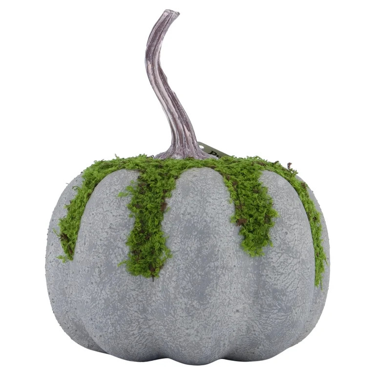 Mossy Pumpkin Decoration, Multicolor, 7", Halloween by Way To Celebrate | Walmart (US)