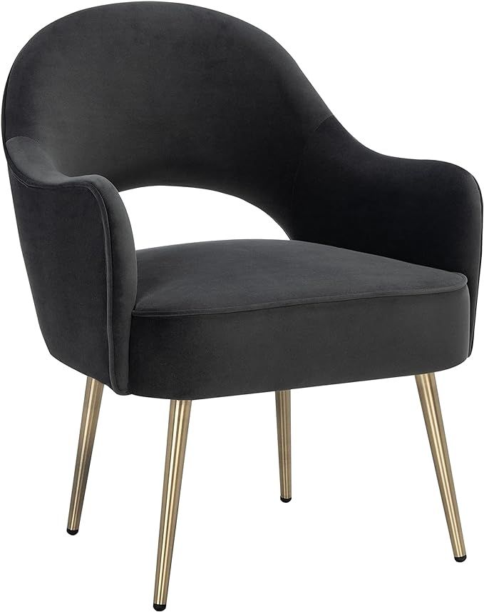 SAFAVIEH Home Collection Dublyn Black Velvet/Gold Accent Chair ACH4001E | Amazon (US)