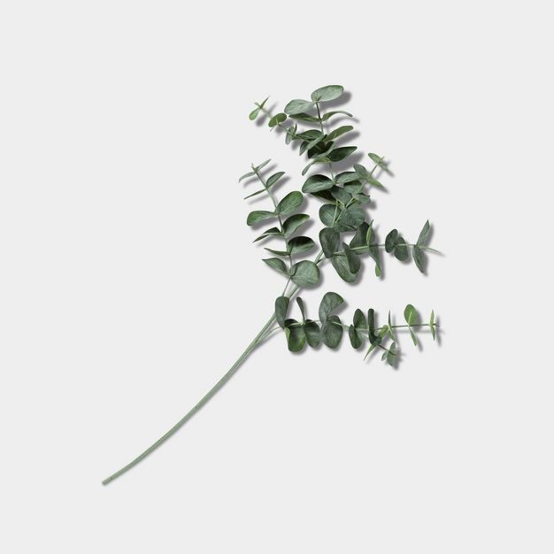 28&#34; Faux Silver Dollar Eucalyptus Stem - Hearth &#38; Hand&#8482; with Magnolia | Target