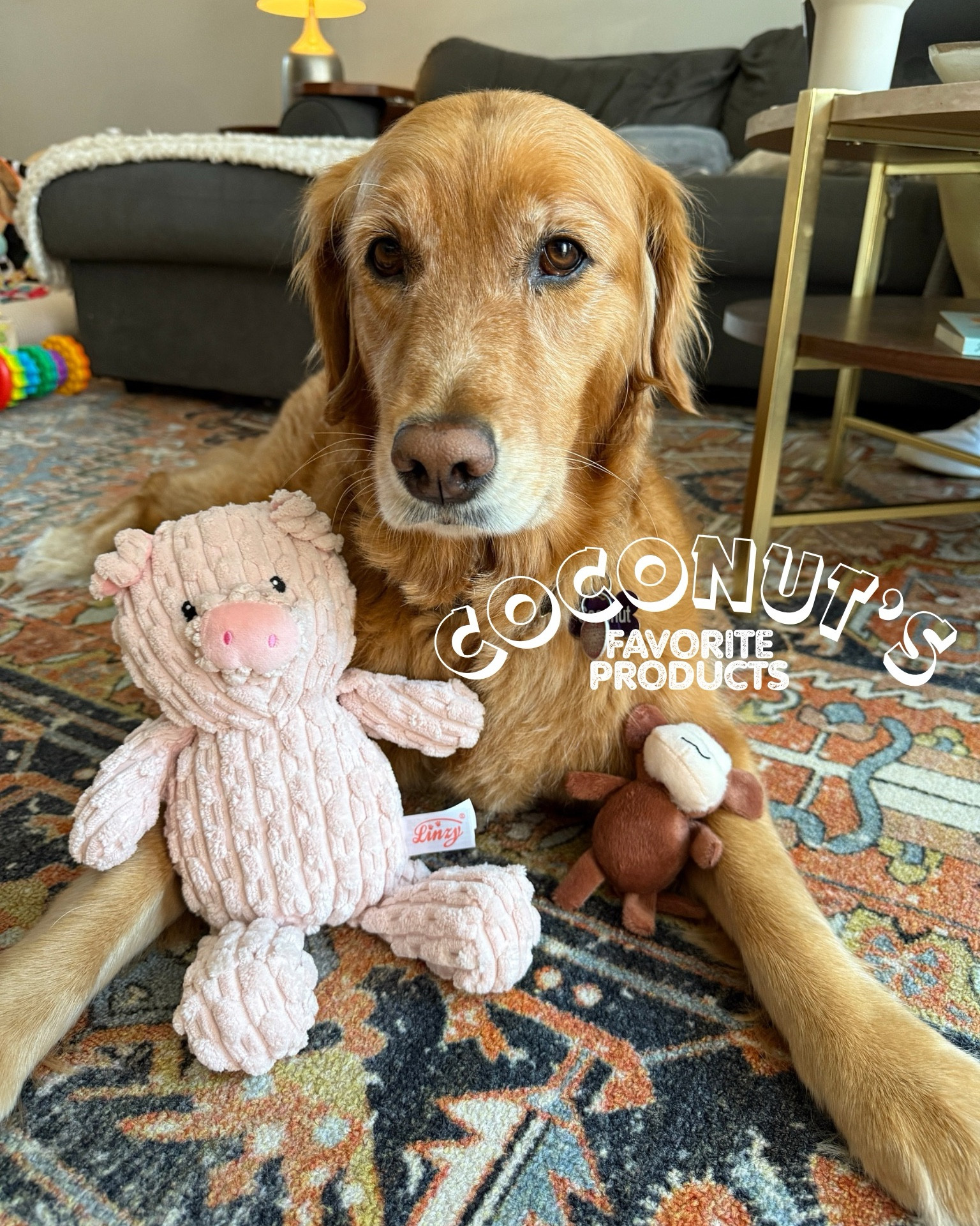 Our current favorite dog products! @chewy #chewypartner 

#LTKFamily #LTKPets #LTKFindsUnder100