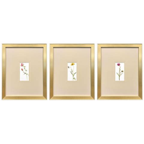 Pretty Florals I 14"W x 17"H Framed Wall Art Set of 3 | Lamps Plus