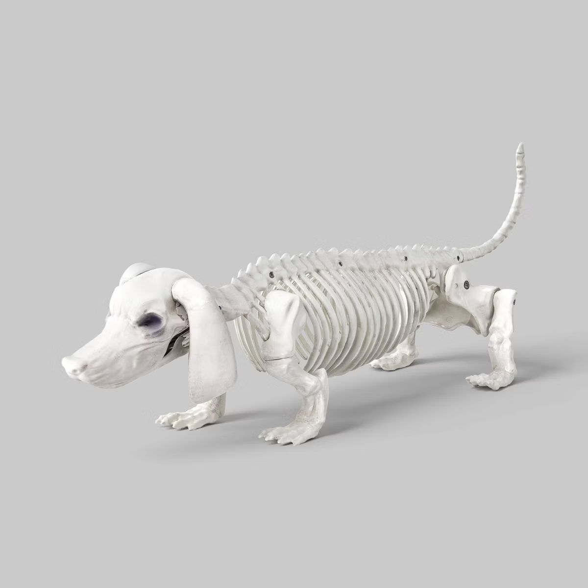 Dachshund Skeleton Halloween Decorative Prop - Hyde & EEK! Boutique™ | Target