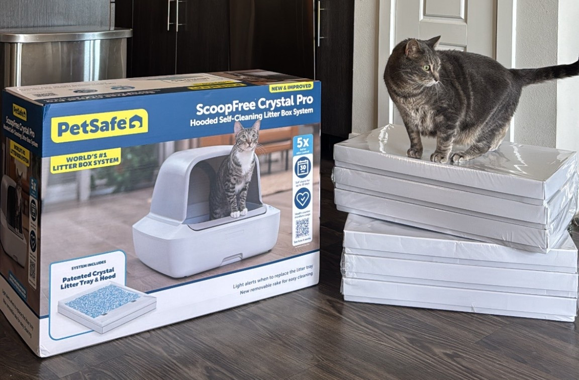 Scoop free litter box for the cat lovers 🐱

#LTKOver40 #LTKdayinmylife #LTKHome