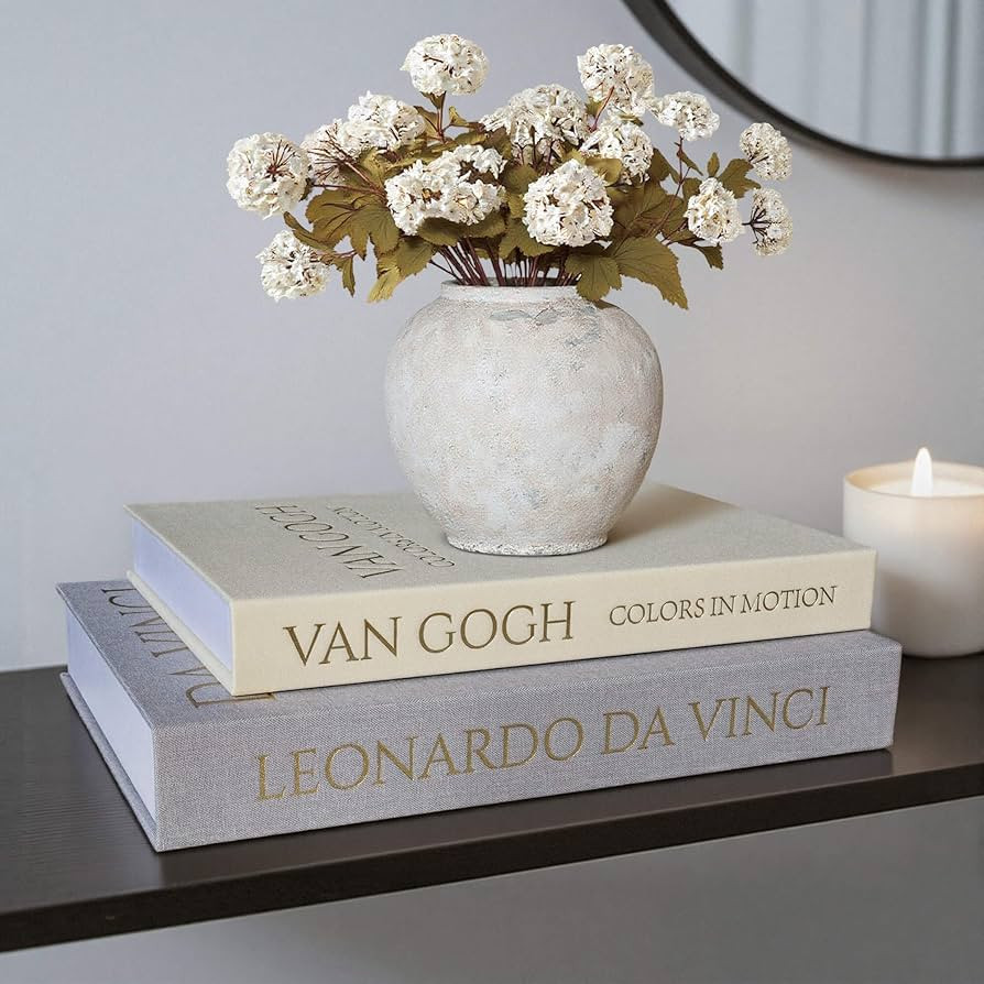 Decorative Linen Book Set of 2, Faux Book Storage Box, Coffee Table and Bookshelf Decor | Amazon (US)