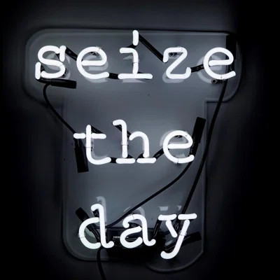 Seize the Day Neon Sign Oliver Gal | Wayfair North America