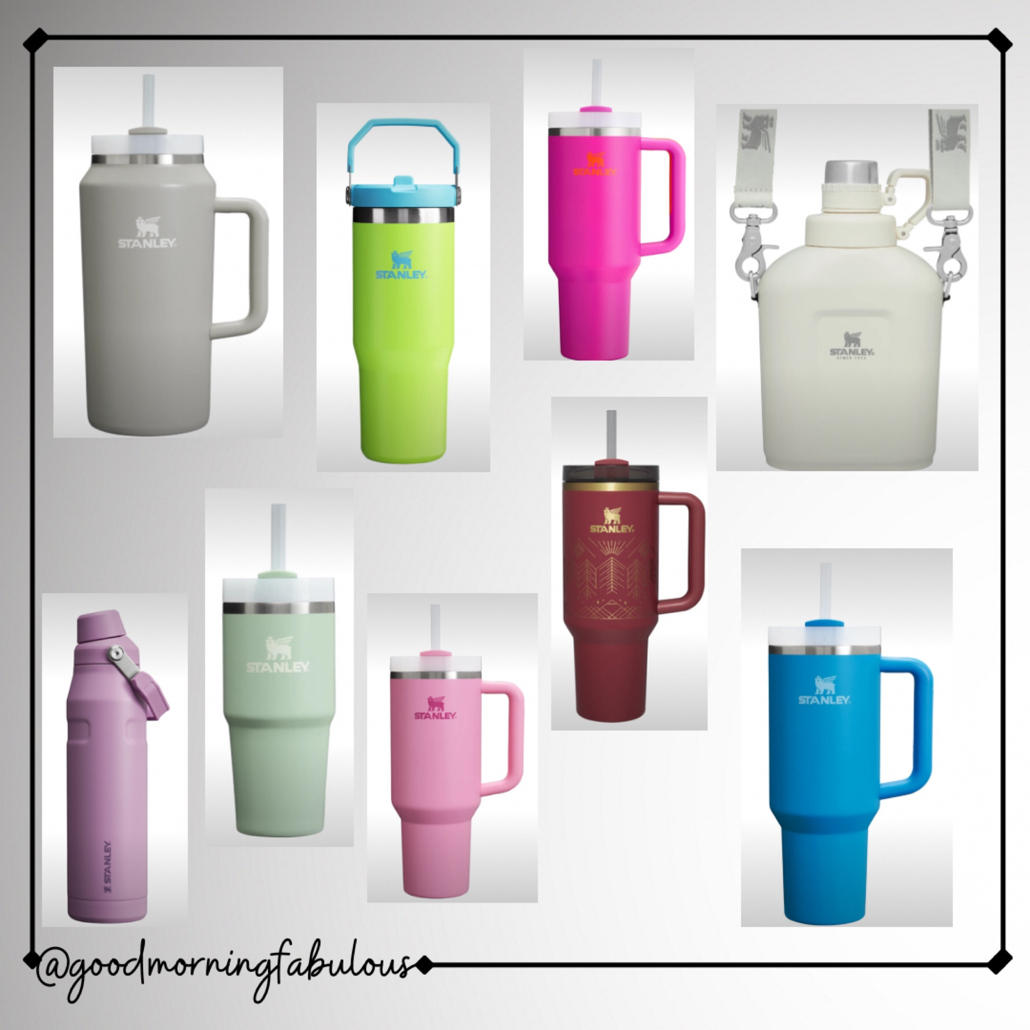 Stanley 

#LTKFindsUnder100