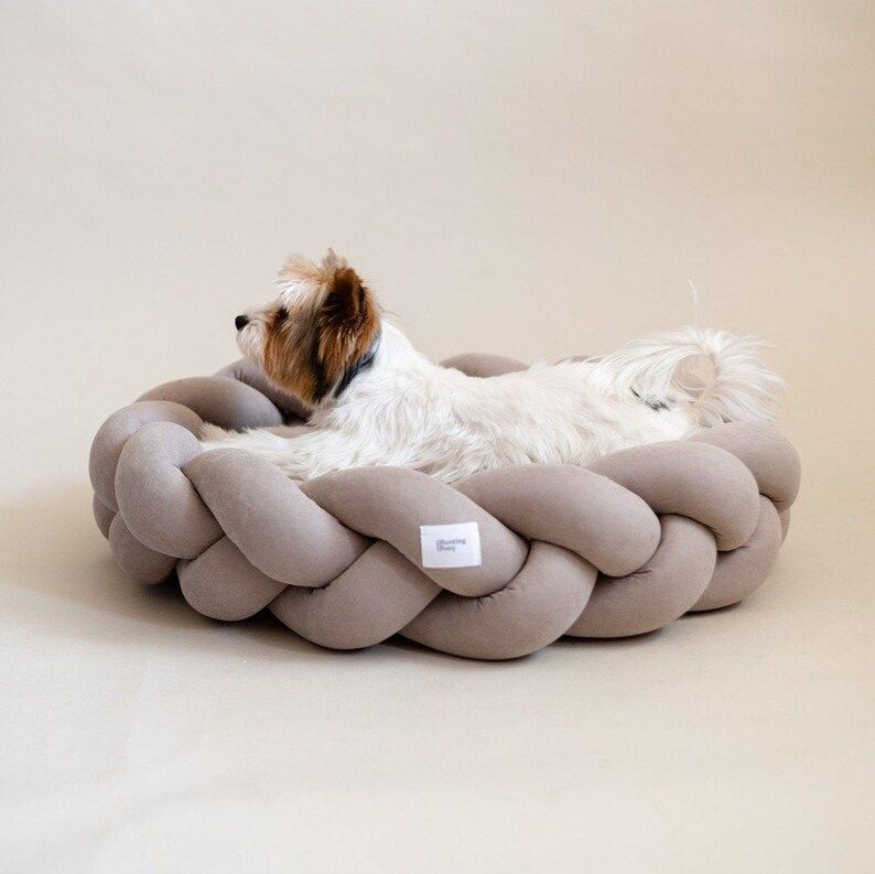 Beige Kolosony Dog Bed - Hunting Pony - Braided Dog Bed - Scandinavian Home Decor - Small Medium ... | Etsy (AU)