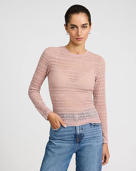 Lace Crew Neck Long Sleeve Tee | Express