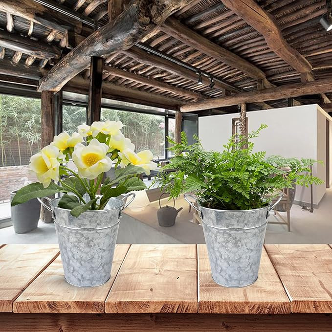 ZHUJERRY Galvanized Metal Flower Pot Planters, Anti-Rust Small Metal Bucket with Handles, Vintage... | Amazon (US)