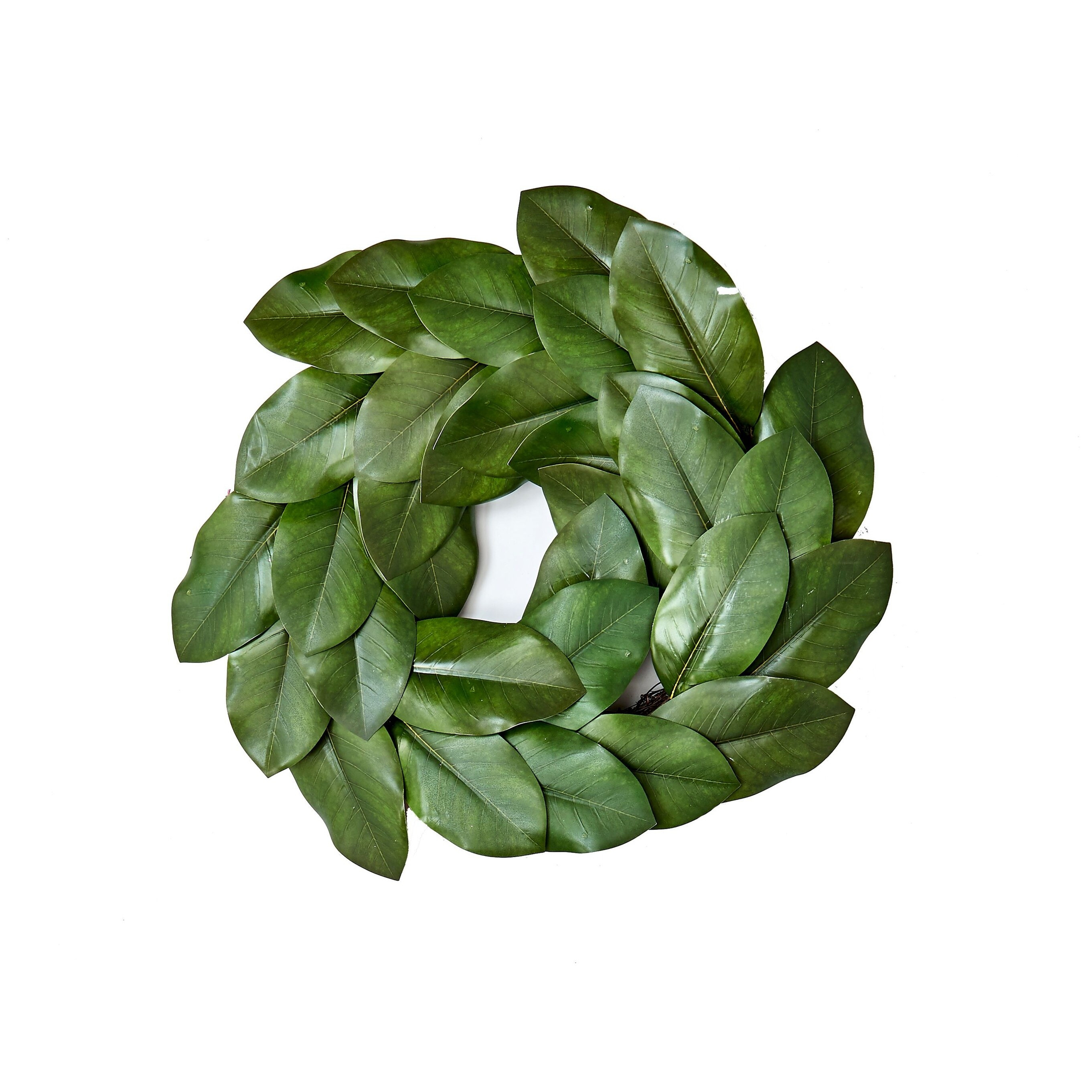 20" Magnolia Leaf Wreath - Multicolor | Bed Bath & Beyond