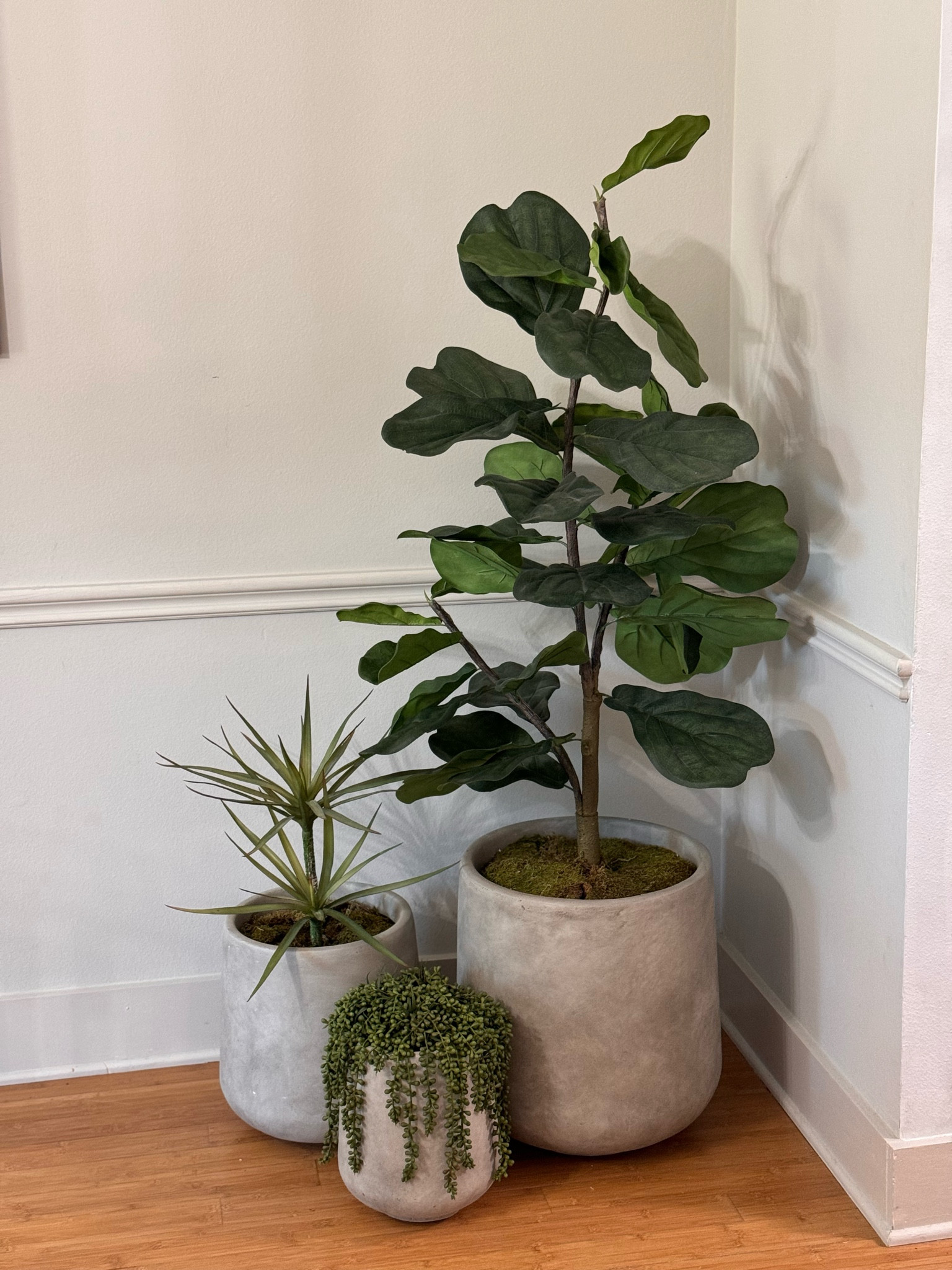 Amazon planters 3 pack in color weathered concrete 

#LTKHome