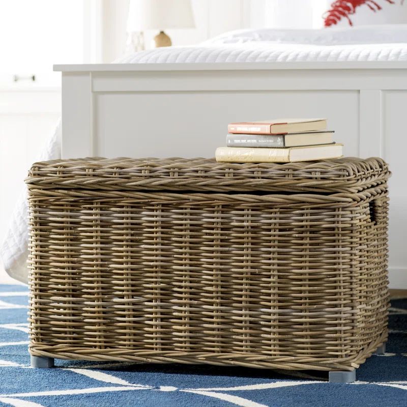 Whyte Wicker Trunk | Wayfair Professional