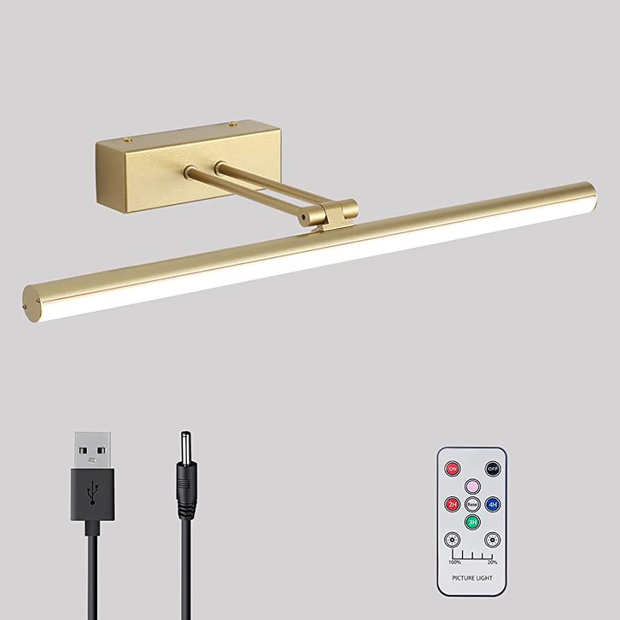 HOWMZON Picture Light, Battery Picture Lights with Remote of Timer and Dimmable, 16" Metal Art Li... | Amazon (US)