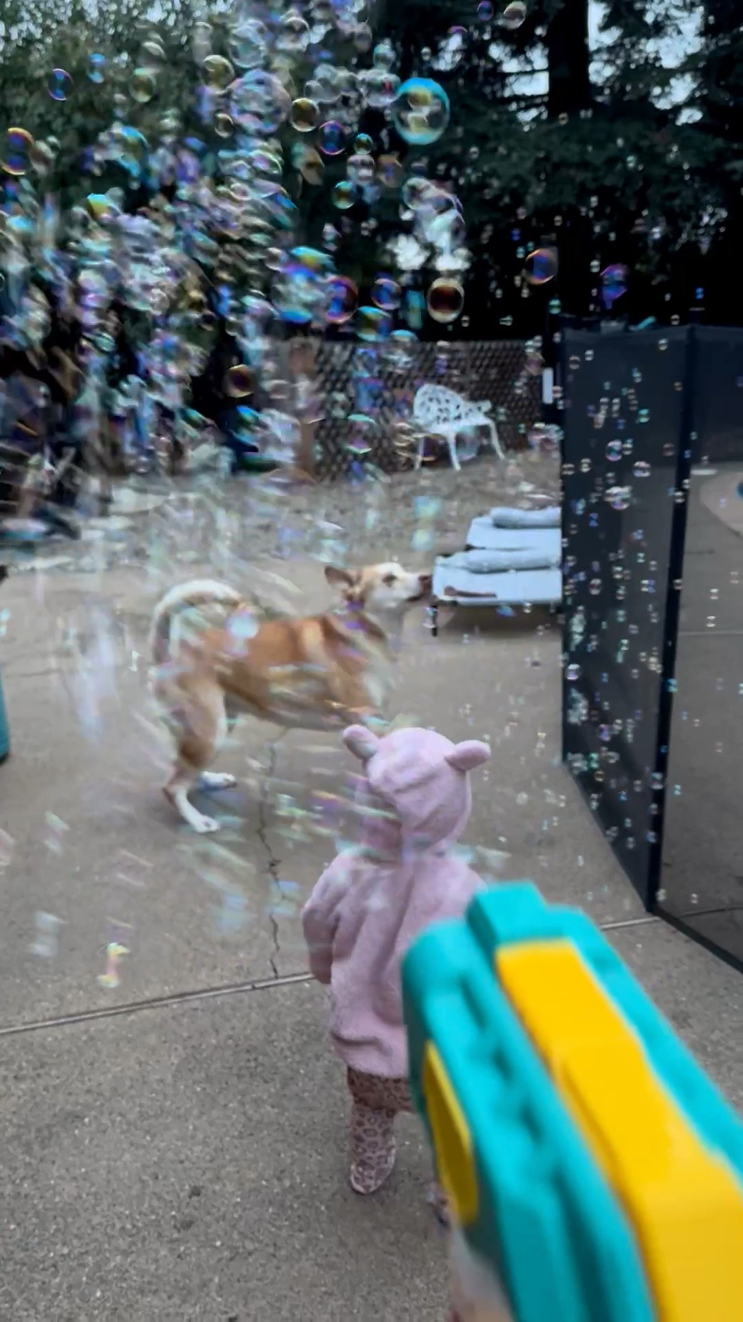 Bubble gun 
Bubble blower
Toddler toys
Outdoor toys 

#LTKmomlife #LTKBaby #LTKKids