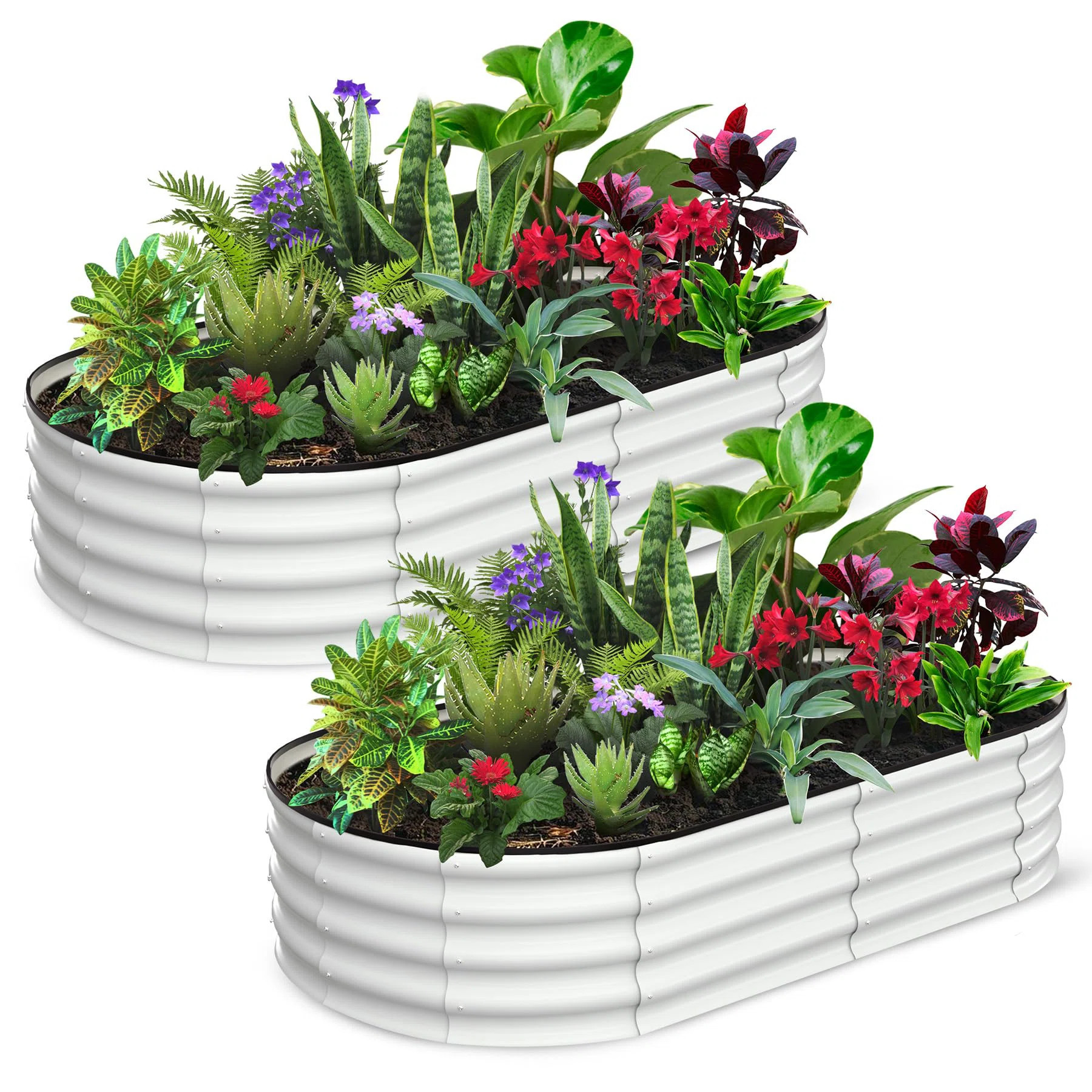 2 Pcs Oval Raised Garden Bed, Galvanized Raised Beds,Open-Ended Base Metal Raised Planter Beds,Ga... | Wayfair North America