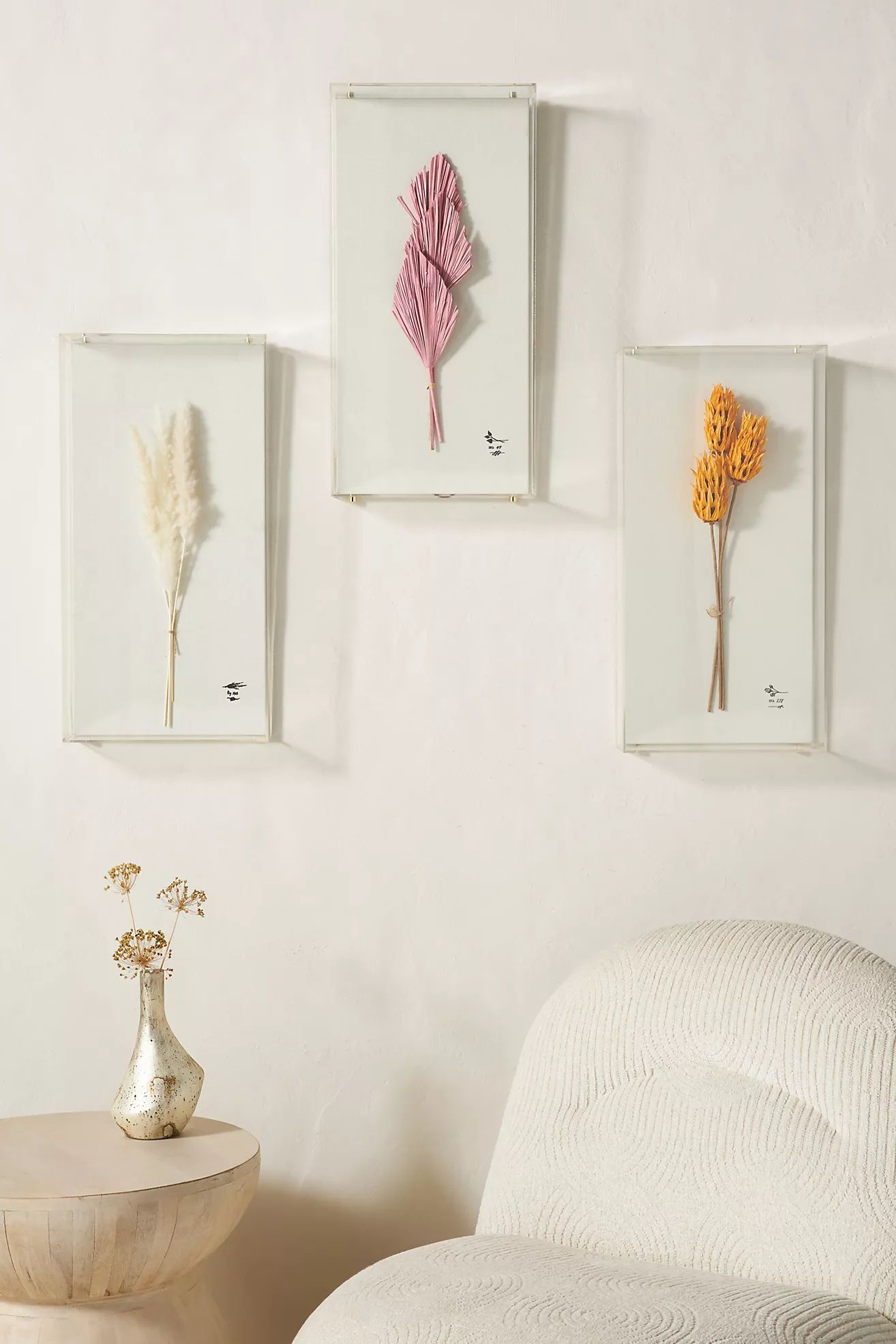 Dried Botanical Wall Art | Anthropologie (US)