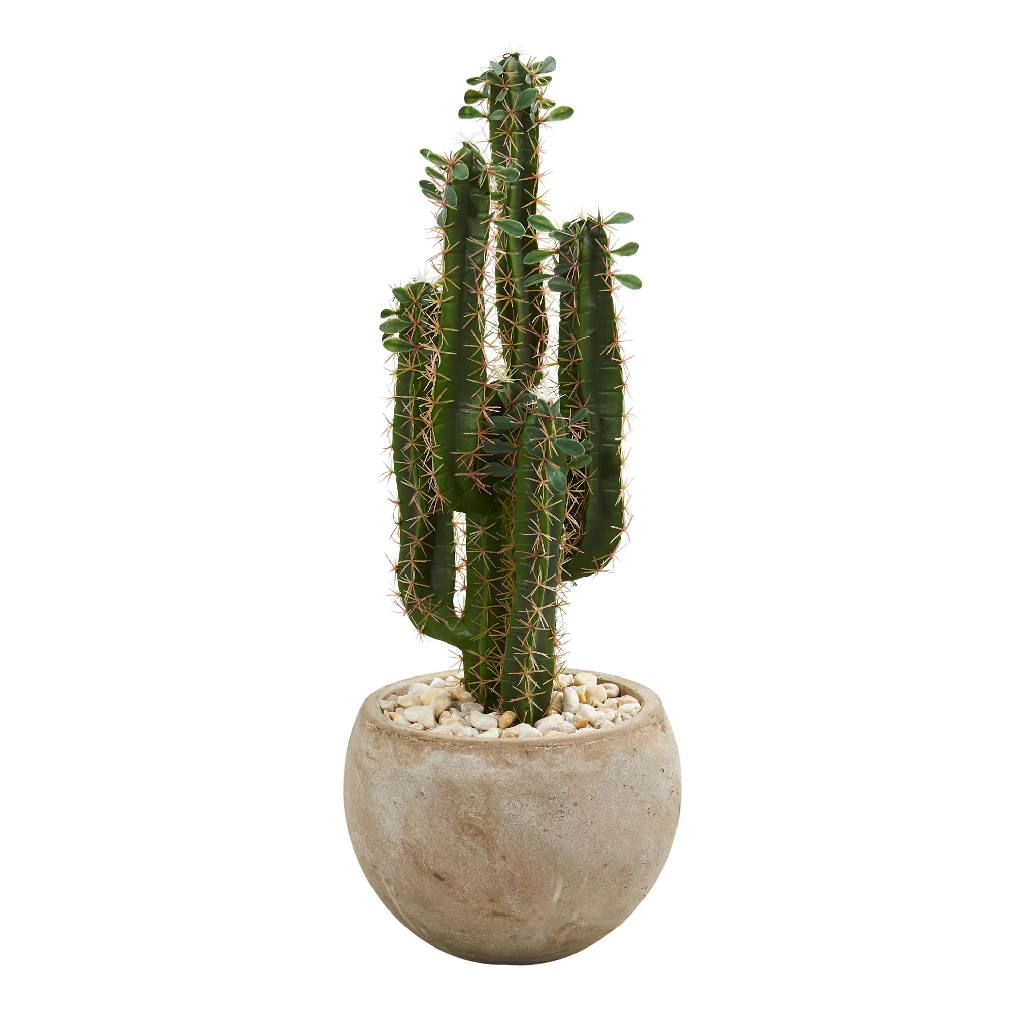 Nearly Natural 2.5’ Cactus Artificial Plant in Bowl Planter | Walmart (US)