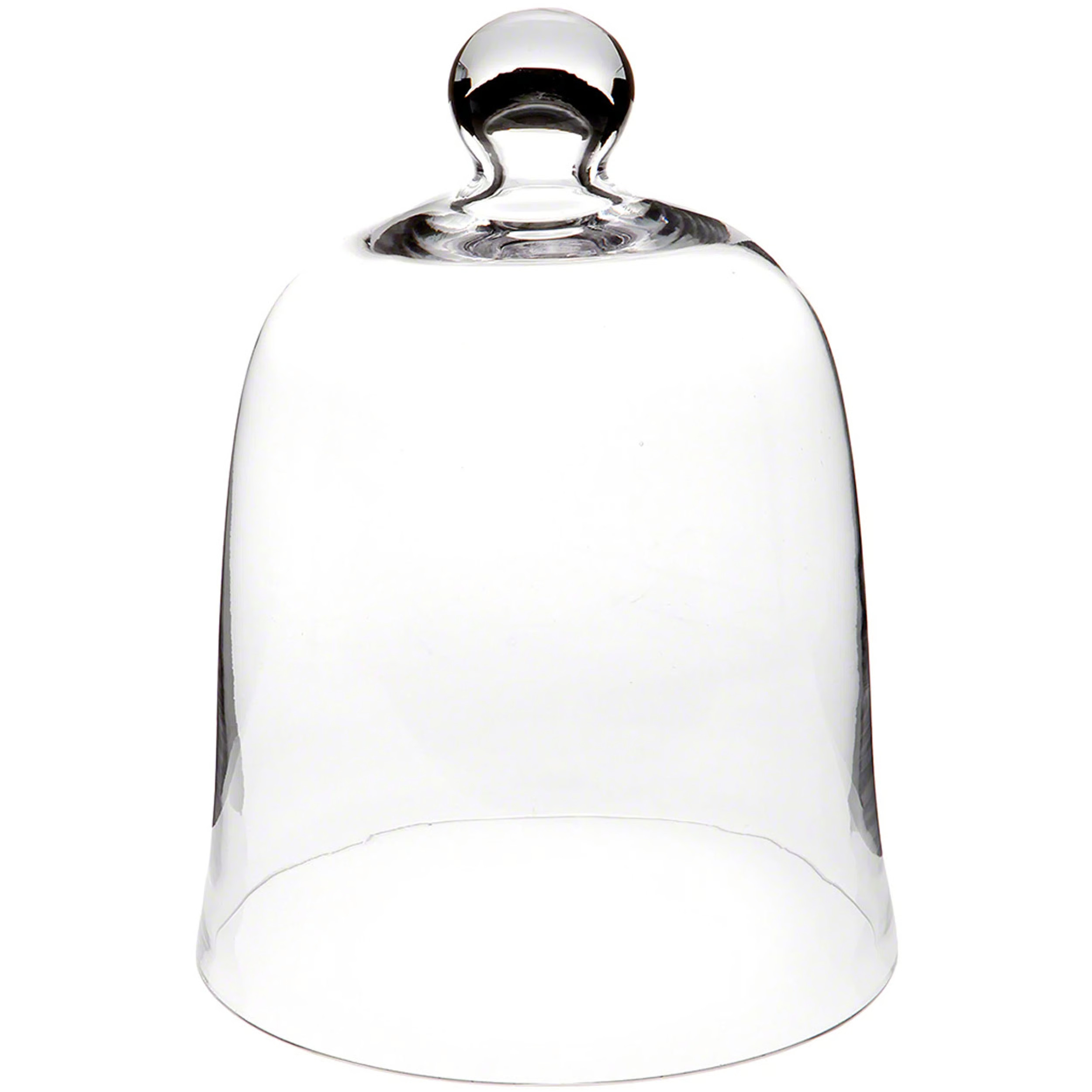 Latitude Run® Bettzy Display Dome Cloche & Reviews | Wayfair | Wayfair North America