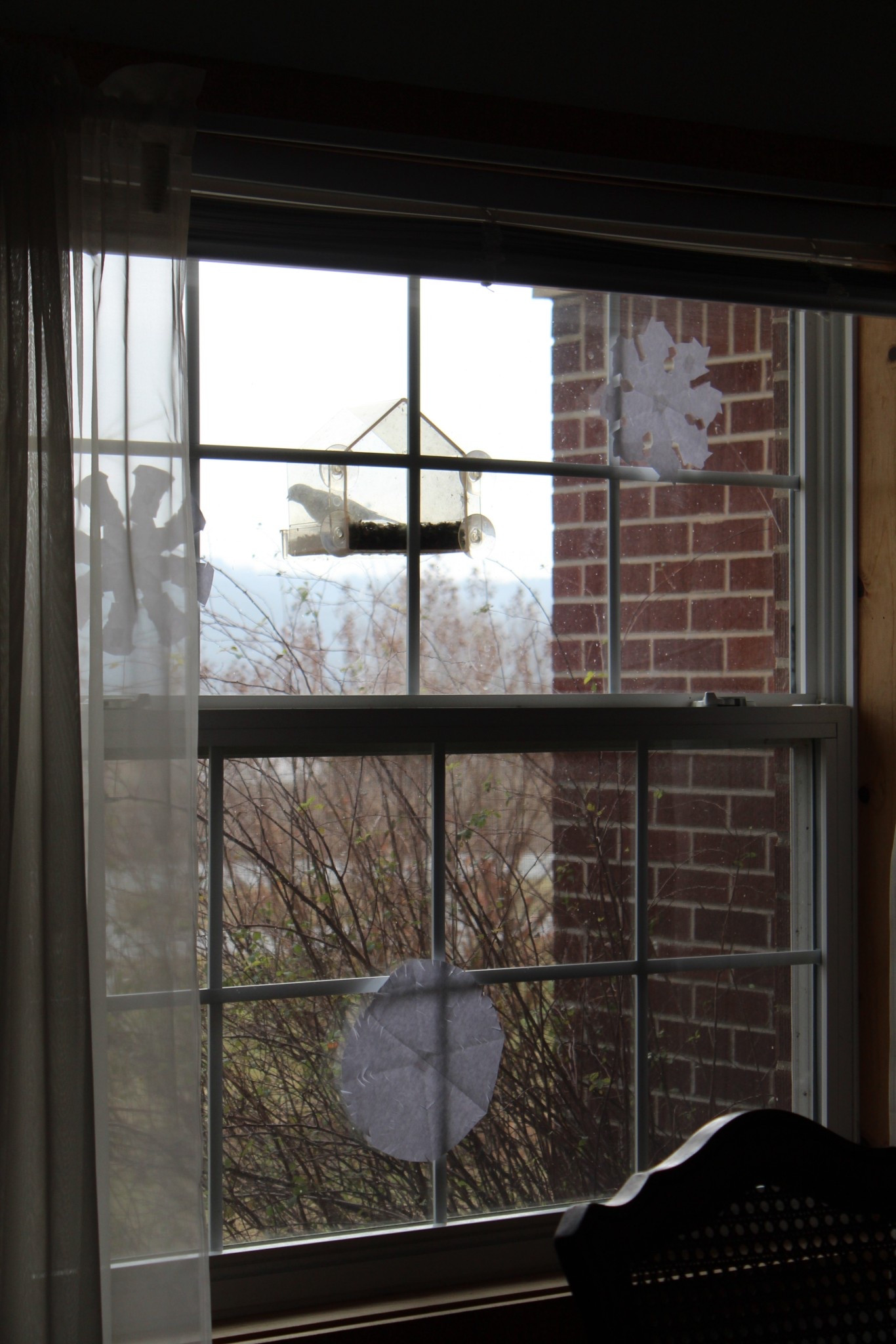 We love sitting in the dining room, watching the birds visit each morning during the winter. The girls each asked for another feeder for their own windows for Christmas this year so we can attract more bird friends. 

#LTKHome #LTKHoliday #LTKKids