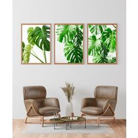 Botanical Leaves Photos Set Of 3 Prints, Botanical Print, Plants Art, Poster, Wall Decor | Etsy (US)