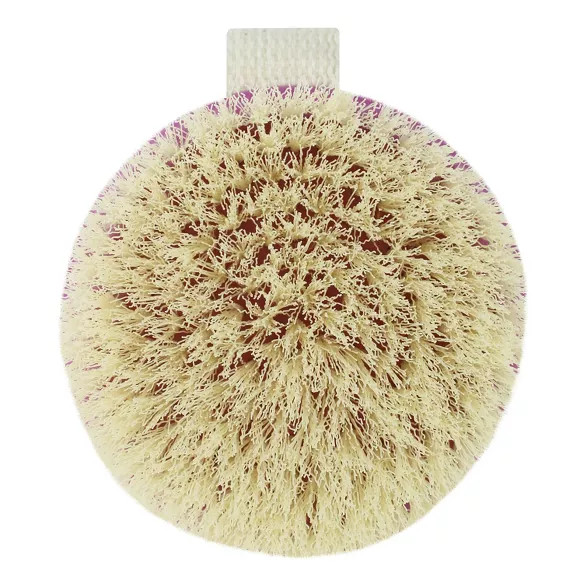 EcoTools Dry Bath Brush - 4" | Target