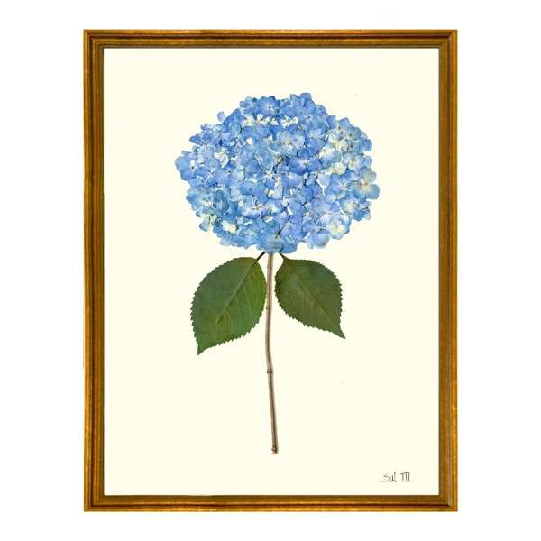 Hydrangea III | Wayfair North America
