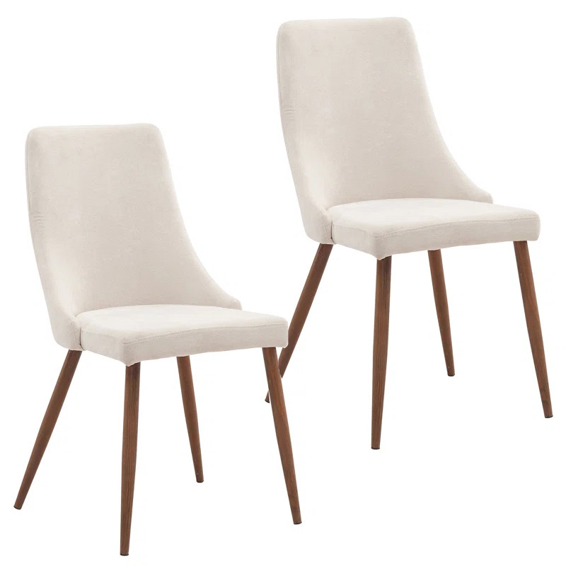 Eringisl Side Chair (Set of 2) | Wayfair North America