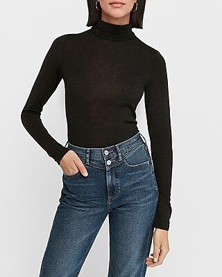 Long Sleeve Turtleneck Top | Express