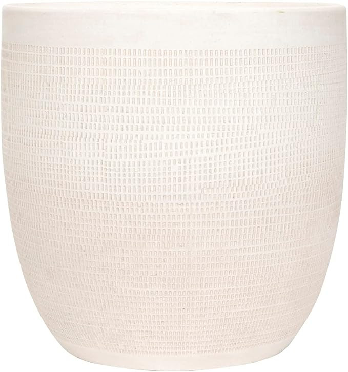 Creative Co-Op Coastal Embossed Textured Stoneware Planter, Matte White | Amazon (US)