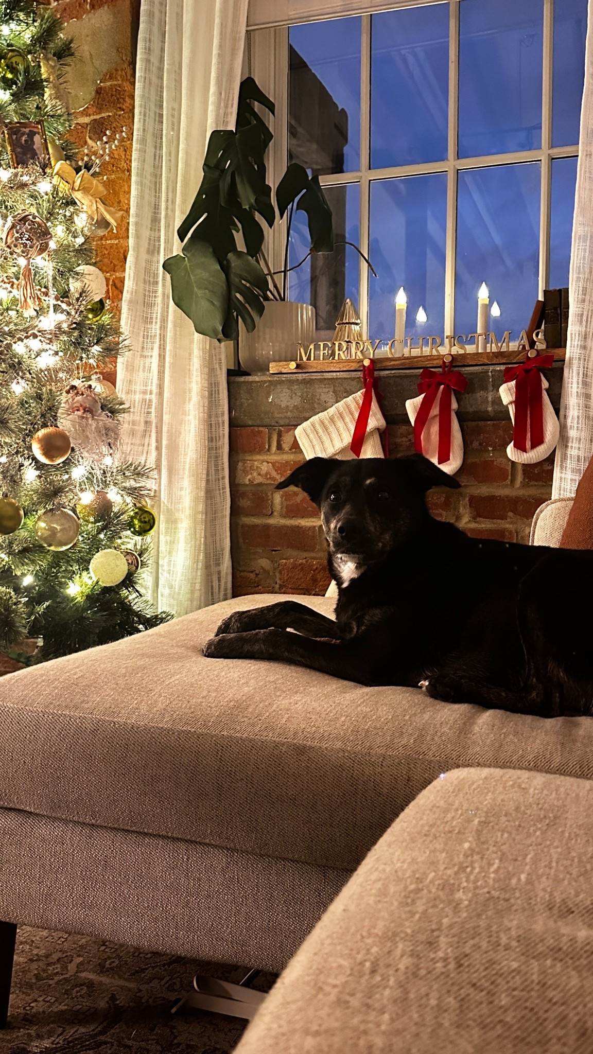 Tis the season! -  Christmas decor is my absolute favorite. 



#LTKSeasonal #LTKHome #LTKHoliday