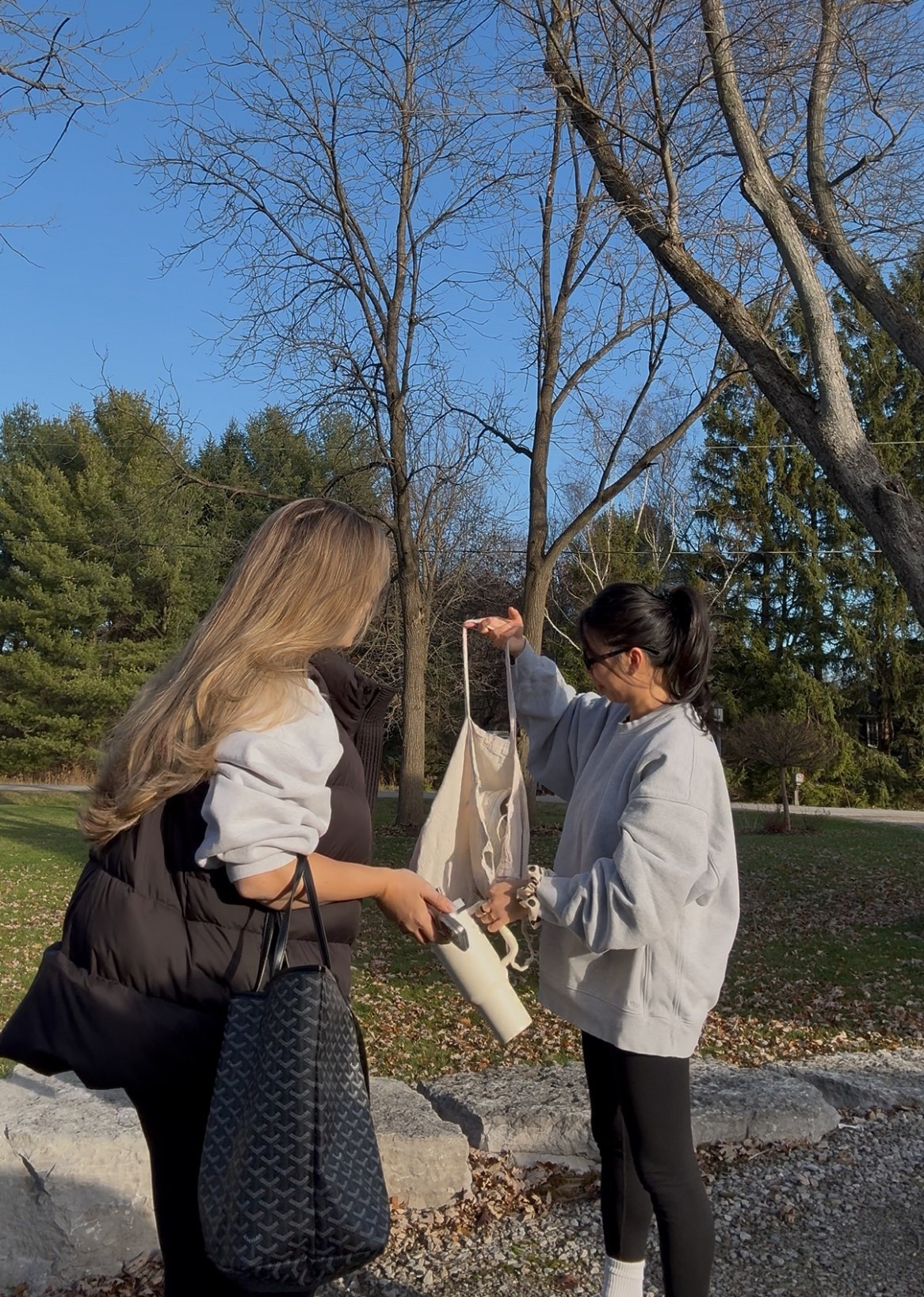 workout fit 🩶

#LTKwinter #LTKcanada