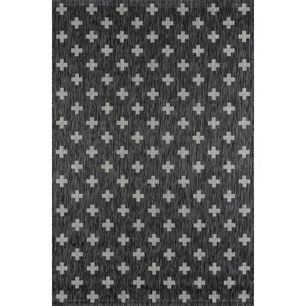 Umbria Charcoal/White Indoor/Outdoor Area Rug | Wayfair North America