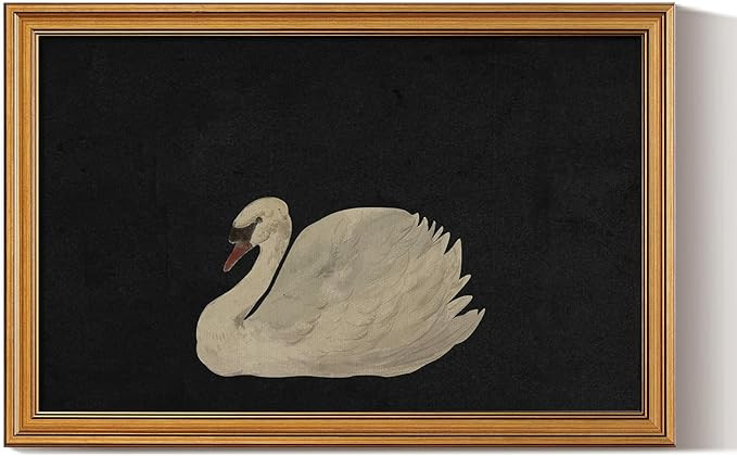 HUARCEY Gold Framed Vintage Wall Art for Living Room, Flowers Painting Canvas Prints Shelf Decor ... | Amazon (US)