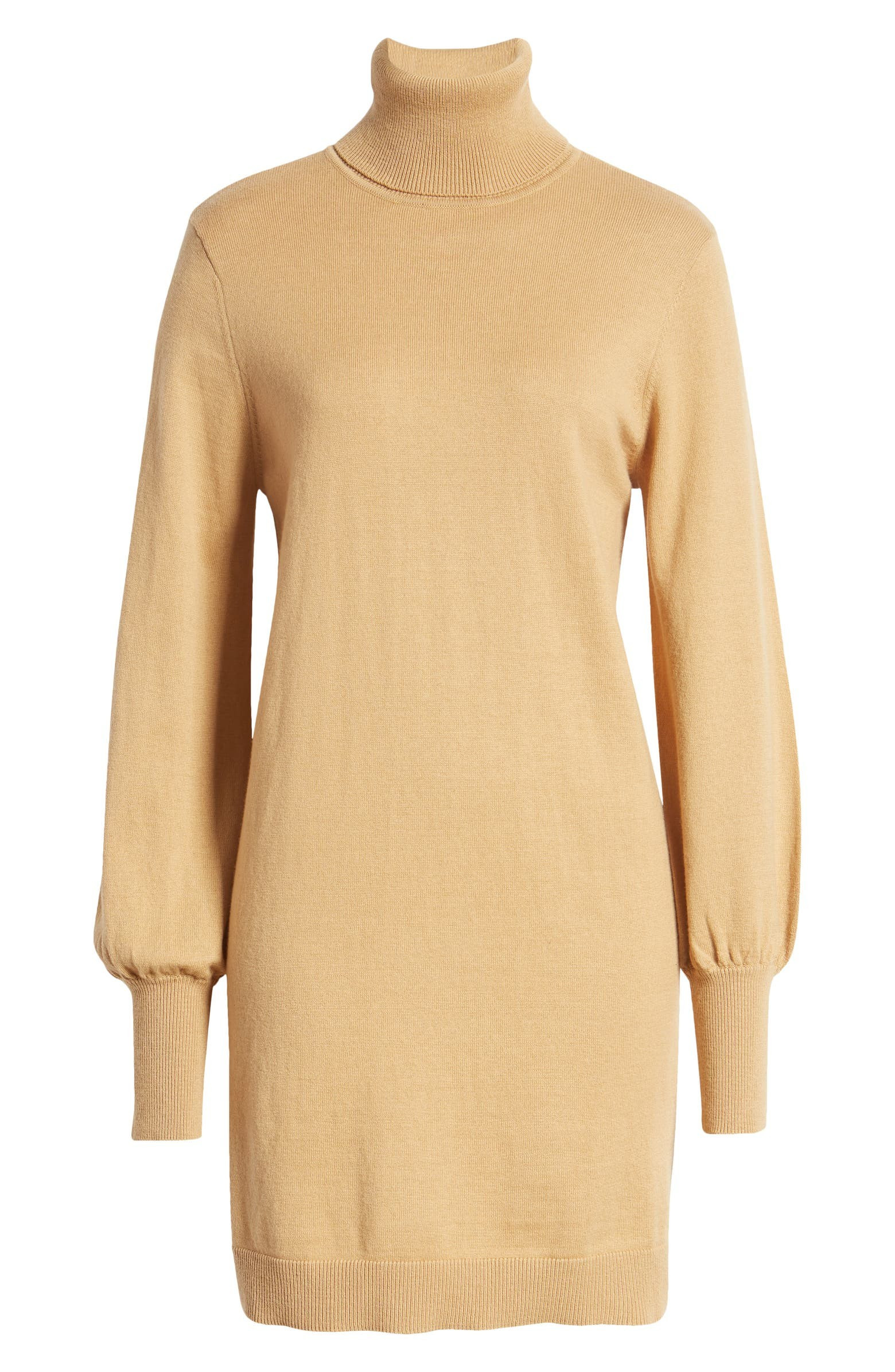 Morela Long Sleeve Turtleneck Sweater Dress | Nordstrom | Nordstrom