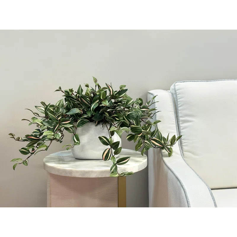 Karas Faux Tradescantia Plant in Ceramic Vase | Wayfair North America