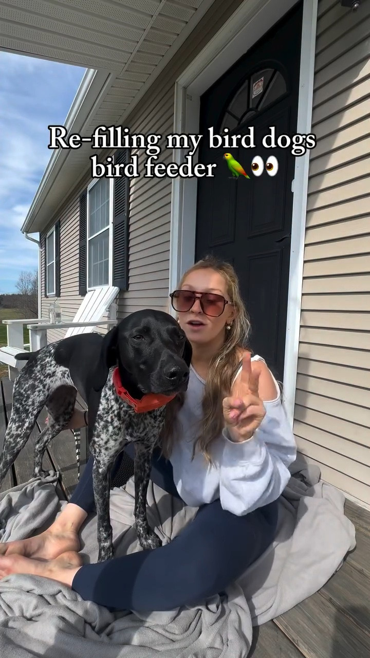 Disclaimer: I say BIRD a lot in this video!!! 👀🦜

So sorry in advance 🤭🤣
#birddog #pointerdog #gsp #gsplife #gspdog