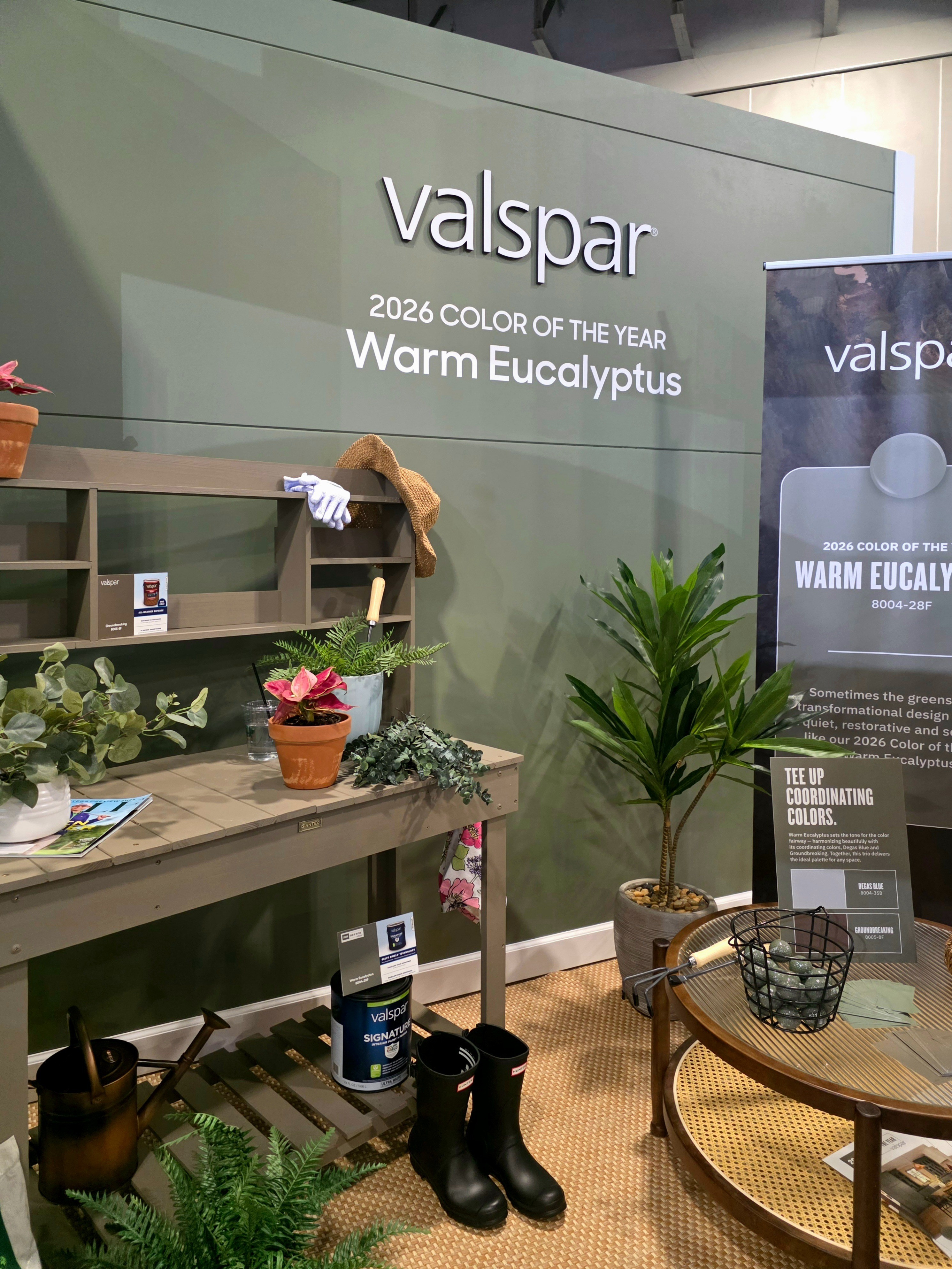 This sage green paint color is so dreamy! I can see why it was chosen as Valspar's 2026 Paint Color of the Year! It is called Warm Eucalyptus! #paintcolor #sagegreen  

 #LTKHome