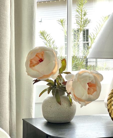 Real touch peonies from AFloral are 20% off through 3/13

Nighstand decor, bedroom decor, primary bedroom, master bedroom, fluted nightstand, faux flowers, spring decor 

#LTKSeasonal #LTKsalealert #LTKhome